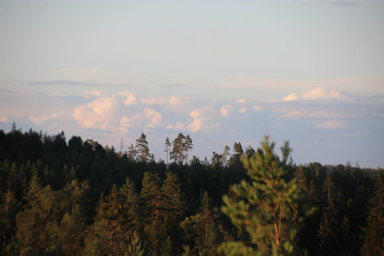 Villa Lillesjoe Stuguthyrning Backefors Exterior foto