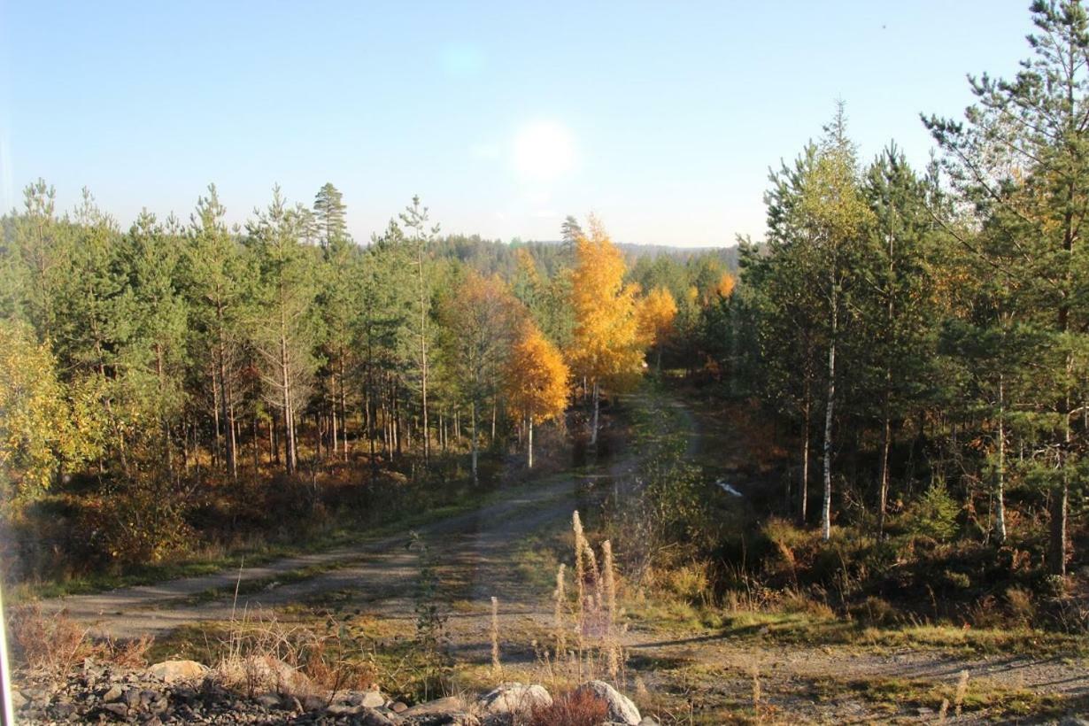 Villa Lillesjoe Stuguthyrning Backefors Exterior foto